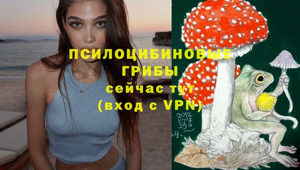 ешки Алексеевка