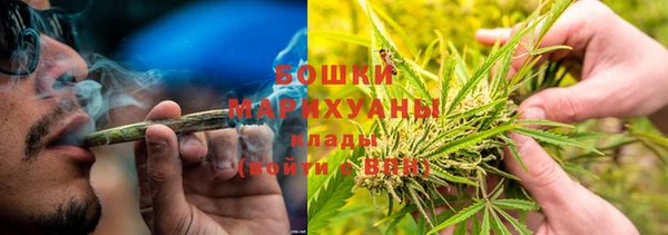 ПСИЛОЦИБИНОВЫЕ ГРИБЫ Алексин